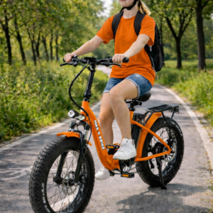 AVENIRE MAX S 48V DELUXE  500W V5