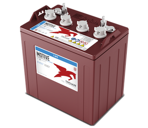 BATTERIE TROJAN T-875 8V DEEP CYCLE BATTERY