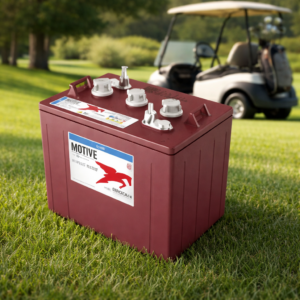 BATTERIE TROJAN T-875 8V DEEP CYCLE BATTERY