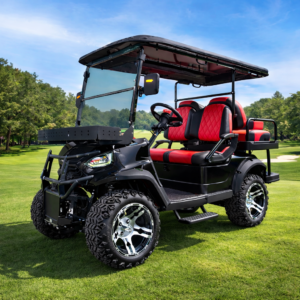 2026 KART PLUS CADDY 48V 5000W