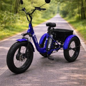 CARGO VÉLO ÉLECTRIQUE (BLEU)