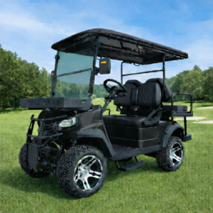 2026 KART PLUS CADDY 48V 5000W