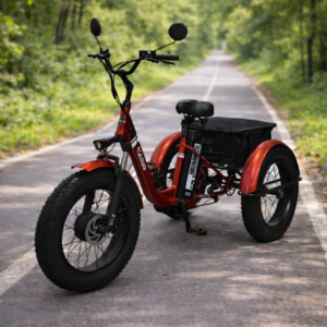 CARGO VÉLO ÉLECTRIQUE